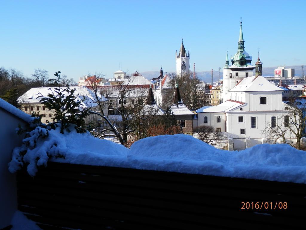 Hotel U Kozicky Teplice Eksteriør bilde